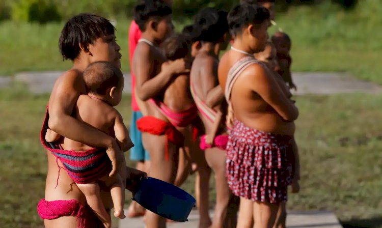 União tem 30 dias para apresentar plano contra garimpo em TI Yanomami