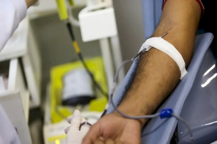Hemocentro de Porto Alegre pede que doador de sangue faça agendamento