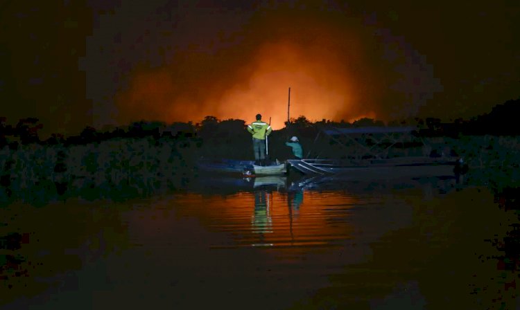 Combate às queimadas no Pantanal terá reforço nesta quinta-feira