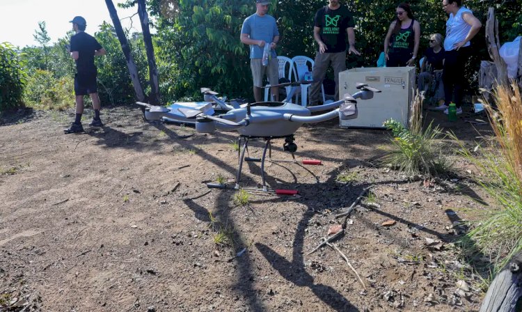 Tecnologias para mapear florestas tropicais favorecem transição verde