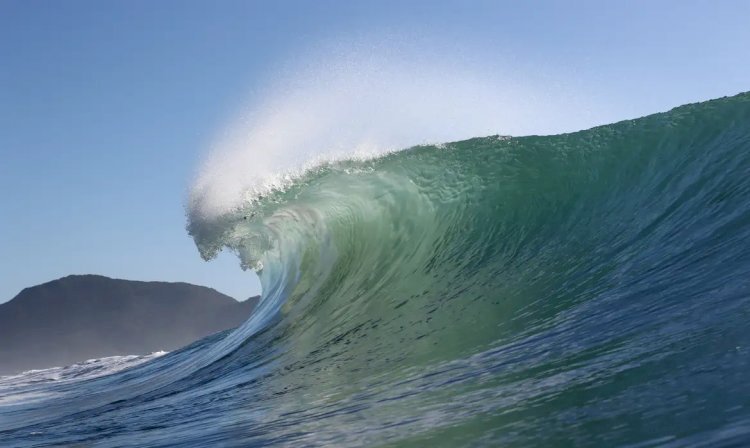 Quatro praias são eleitas para se tornarem santuário do surfe nacional