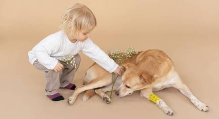Convívio com pets traz benefícios a crianças, como aprender a engatinhar e bem-estar