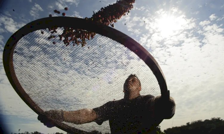 Brasil faz acordo com China que pode aumentar exportação de café