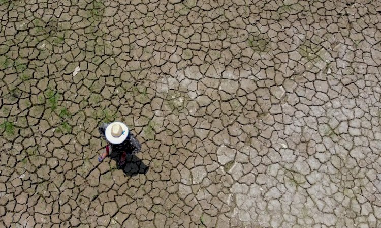 Prefeitura de Manaus decreta situação de emergência por causa da seca